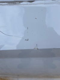 фото thumb №7, Дверь левая передние skoda octavia iv 4 2020-