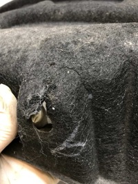 фото thumb №7, Підкрилок задні задня volvo v90 s90 31383356