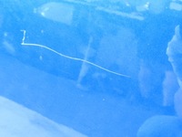 фото thumb №7, Fiat sedici 06-12 zcg дверь левый задняя