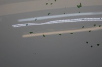 фото thumb №11, Opel corsa d капот крышка двигателя m839