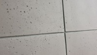 Архитектурный гибкий бетон B20 м2
