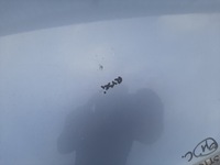 фото thumb №7, Капот крышка opel astra h iii оригинал лак цвет z163