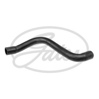 фото thumb №11, Шланг гумовий системи охолодження góra renault grand scenic ii megane
