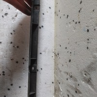 фото thumb №6, Ползун бампера зад audi a4 b7 avant 8e9807989