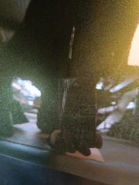 фото thumb №14, Двері перед ліва праве bmw 4 g26 c4e sanremo green повний