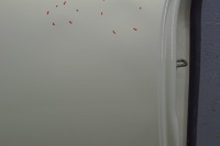 Купить Дверь правый  задняя mini cooper r55 d1649, фото thumb