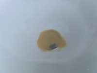 фото thumb №8, Tesla 3 капот