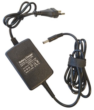 ŁADOWARKA automatyczna DO AUTA QUADA BUGGY SAMOCHODZIKA NA AKUMULATOR 12V
