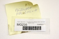 фото thumb №6, Mg235 dacia lodgy 1.5d дроти вакууму kpl