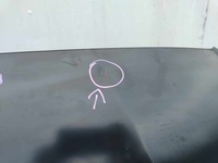 фото thumb №12, Audi a5 f5 8w6 капот крышка двигателя новая оригинал 4601