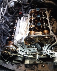 фото thumb №10, Грм suzuki xl7 3.6 07-09 xl-7 2007-2009