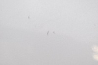 фото thumb №11, Крило праві перед переднє swp kia ev6 gt-line 21-