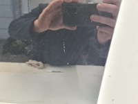 фото thumb №11, Toyota corolla verso ii двері лівий перед