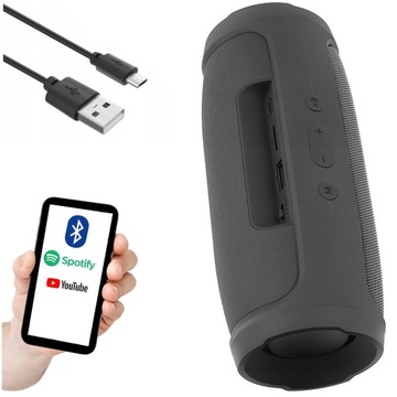 ПОРТАТИВНОЕ БЕСПРОВОДНОЕ FM-РАДИО С Bluetooth-ДИНАМИКОМ