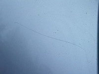 фото thumb №4, Капот ly7w audi a6 c6 4f5 kombi europa