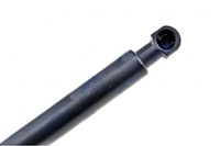 фото thumb №10, Привід амортизатор кришки fiat 500 abarth 07- liftback nty