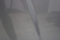 фото thumb №11, Subaru impreza gg lift 2006r- капот кришка двигуна