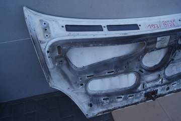 фото thumb №9, Капот iveco daily iii 06-11