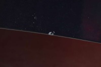 Капот кришка двигуна nv903 renault laguna 2 2 01-05 Оригінал, фото thumb