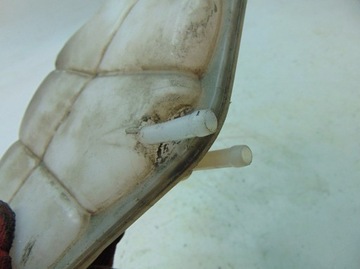 фото thumb №7, Vw phaeton 3.0 tdi 04r бачок розширювальний