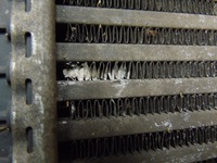 фото thumb №14, Радиатор интеркулер opel meriva b ii 1.7 cdti 13283253