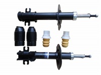 фото thumb №1, Srline s010294g амортизатор