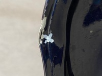 фото thumb №14, Bmw 7 g70 дверь перед левая передние