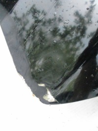 Капот mercedes glc a2538870303 в Україні, фото thumb