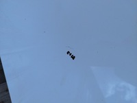 фото thumb №5, Капот hyundai i30 i рестайлінг роки 2010-2012 5d хетчбек колір 7f