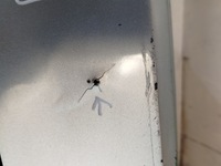 фото thumb №12, Бампер зад vw passat b8 przed-lift аксессуар lb7w , 4xpdc , комплектный !