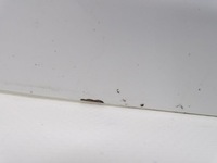 фото thumb №5, Peugeot 207 06-12 кришка багажника задня hb 3d