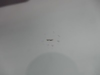 фото thumb №9, Jeep cherokee kj рестайлінг скло лобове передня перед