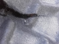 фото thumb №4, Подкрылок правый задняя задние audi q7 4m 4m0