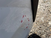 фото thumb №8, Дверь левая задние vw taigo 2g7 левый задняя