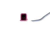 фото thumb №8, Застёжка ремня правое перед ford galaxy iii 06-09r 8v41a61209ba