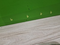 фото thumb №8, Lamborghini huracan дверь левая 4t0831435b