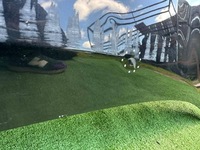 фото thumb №7, Капот nissan note ii e12