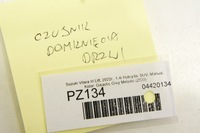 фото thumb №10, Pz134+ suzuki vitara iii датчики кінцевий двері комплект