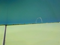 фото thumb №8, Ford ka mk2 ii 1.2 b 10r hb 3d крышка багажника задняя