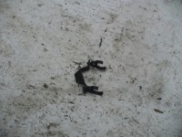 Купить Кронштейн трубопровод dacia duster 2011 1.5 dci europa, фото thumb