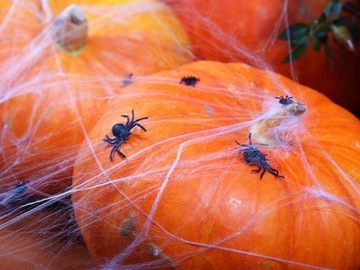SPIDER WEB белая паутина HALLOWEEN нейлон 10г