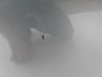 фото thumb №5, Дверь левый перед skoda superb ii lf9h