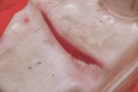 фото thumb №9, Бачок омывателя 986102c000 hyundai coupe 2 ii 2.7 v6 167 km 01-05