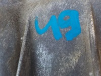 Mini cooper s r56 1.6t коробка передач передач 7602697 Зі Шроту, фото thumb