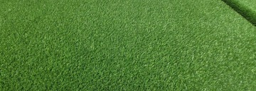 Ковер из искусственной травы Miami Verde 1м Зеленый Плотный Высокий из рулона САД