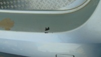 фото thumb №5, Задний бампер la7w vw passat b6 универсал la7w