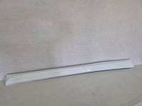 фото thumb №9, Oettinger golf v молдинг порог