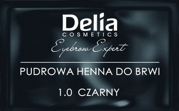 DELIA Лучшая порошковая хна для бровей Eyebrow Expert 4г, 1,0 ЧЕРНАЯ