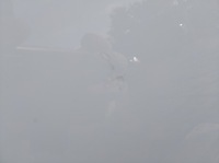 фото thumb №7, Дверь перед правое kia pro ceed i 3d белый