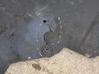 фото thumb №6, Movano master iii 3 10- захист плита нижня pod двигун 1cz 758900011r